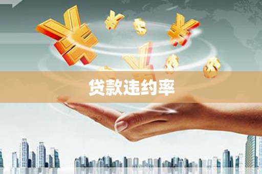 邻水贷款违约率