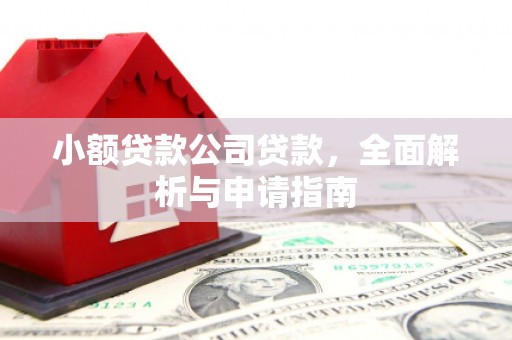 邻水小额贷款公司贷款，全面解析与申请指南
