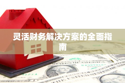 邻水灵活财务解决方案的全面指南