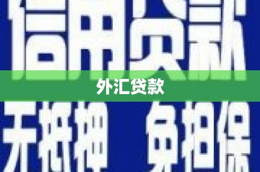 邻水外汇贷款