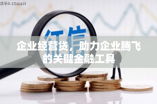 邻水企业经营贷，助力企业腾飞的关键金融工具