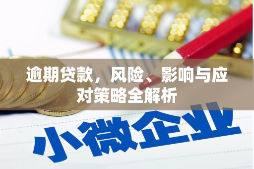 邻水逾期贷款，风险、影响与应对策略全解析
