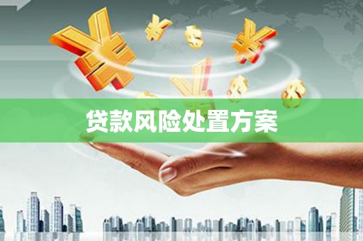 邻水贷款风险处置方案