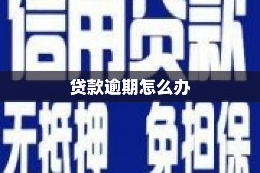 邻水贷款逾期怎么办