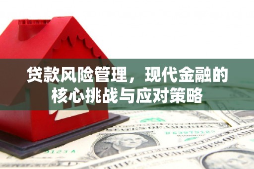邻水贷款风险管理，现代金融的核心挑战与应对策略