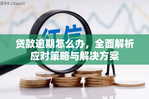 邻水贷款逾期怎么办，全面解析应对策略与解决方案